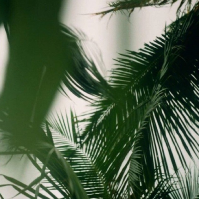 Poshmark banner for @garg
